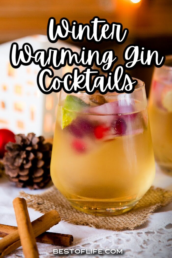 Winter cocktails with gin are cozy and delicious to warm up any winter evening. Gin Cocktails Winter | Gin Cocktails Christmas | Recipes for Gin | Cocktails with Gin | Gin Drinks for Winter | Winter Cocktail Recipes | Holiday Party Recipes | Boozy Holiday Recipes | Cocktail Recipes for Christmas | Christmas Cocktails | Holiday Party Ideas