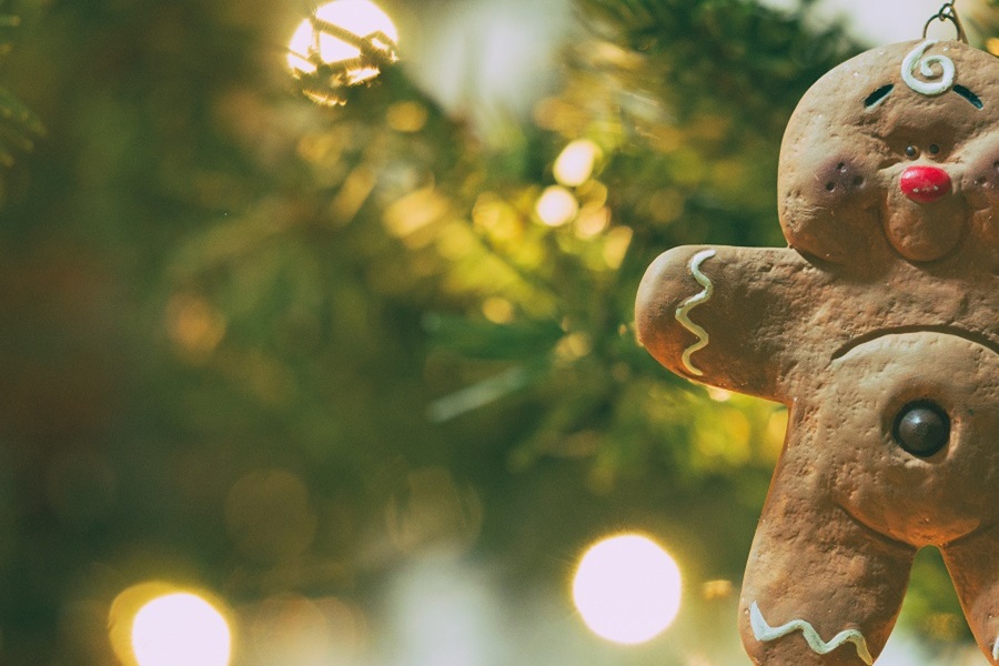 Christmas Party Food for Kids Close Up of a Gingerbread Man Ornament Hanging from a Christmas Tree