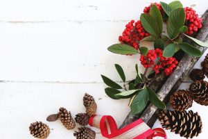 Christmas Party Food for Kids Close Up of Mistletoe and Pinecones on a a Wooden Surface