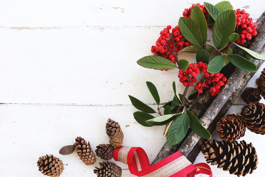 Christmas Party Food for Kids Close Up of Mistletoe and Pinecones on a a Wooden Surface