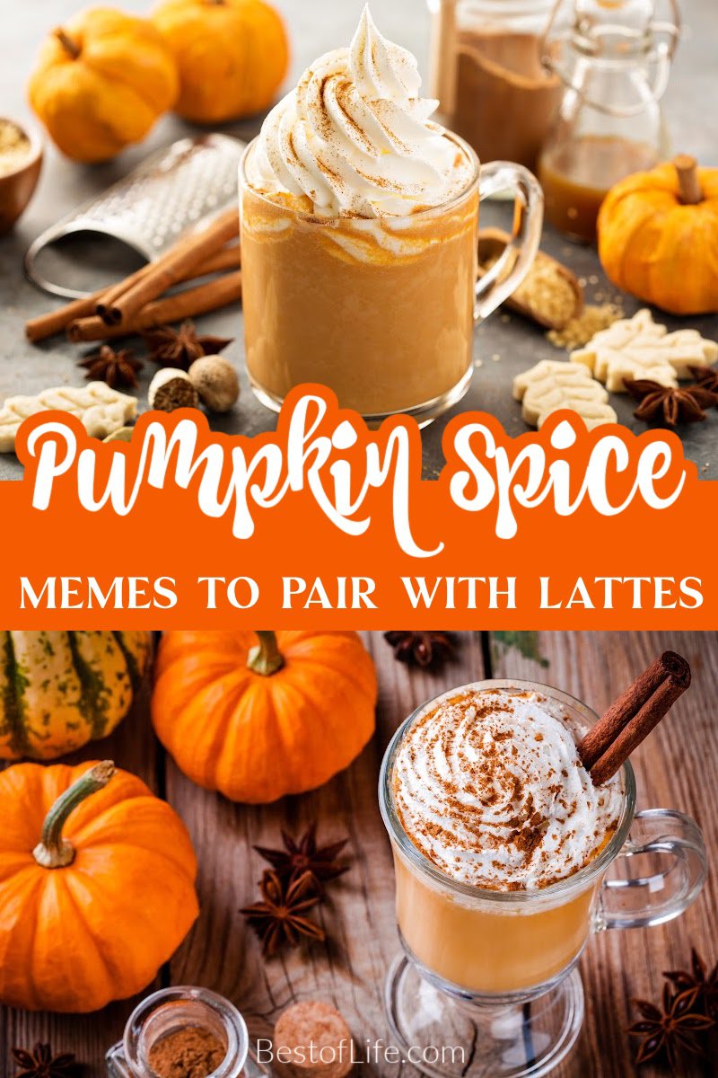 Funny pumpkin spice memes are spicy, delicious, and as basic as they get, with some humor that fits in well with those pumpkin spice latte recipes. Pumpkin Spice Quotes | Funny Starbucks Memes | Funny Coffee Memes | Quotes About Coffee | Quotes About Starbucks | Funny Memes for Fall | Funny Fall Memes