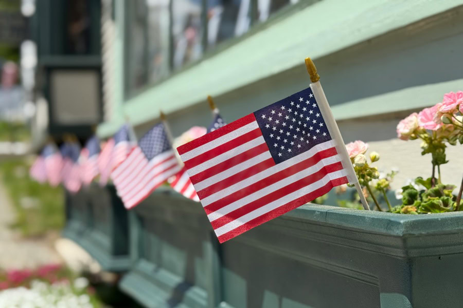 4th of July Cookies Close Up of Small American Flags in a Planter Box of Flowers