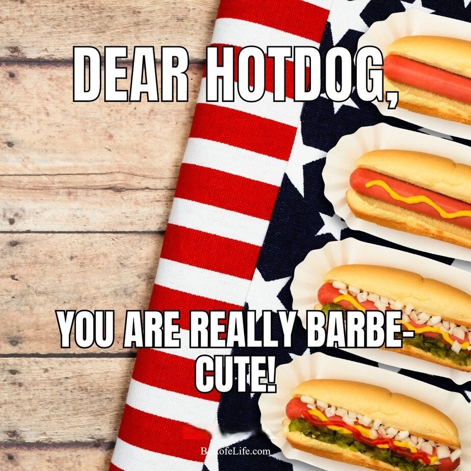 Short Patriotic Puns Dear hotdog, you are really barbe-cute!