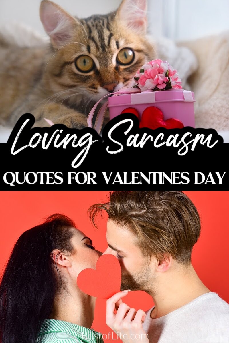 These sarcastic Valentines Day quotes can either inspire or motivate relationships; the choice is yours. Funny Valentines Day Quotes | Funny Quotes About Love Funny Quotes for Couples | Sarcastic Quotes About Love | Sarcastic Quotes for Couples | Funny Things to Text Him | Funny Things to Text Her | Valentines Day Quotes to Make You Laugh | Love Quotes Funny | Valentines Day Quotes Funny via @thebestoflife