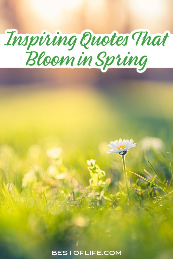 There are some beautiful spring quotes we can use to inspire us to take in more natural beauty as everything blooms around us. Spring Quotes | Quotes About Spring | Inspiring Quotes About Spring | Motivating Quotes About Spring | Quotes to Share | Sayings About Spring | Spring Sayings