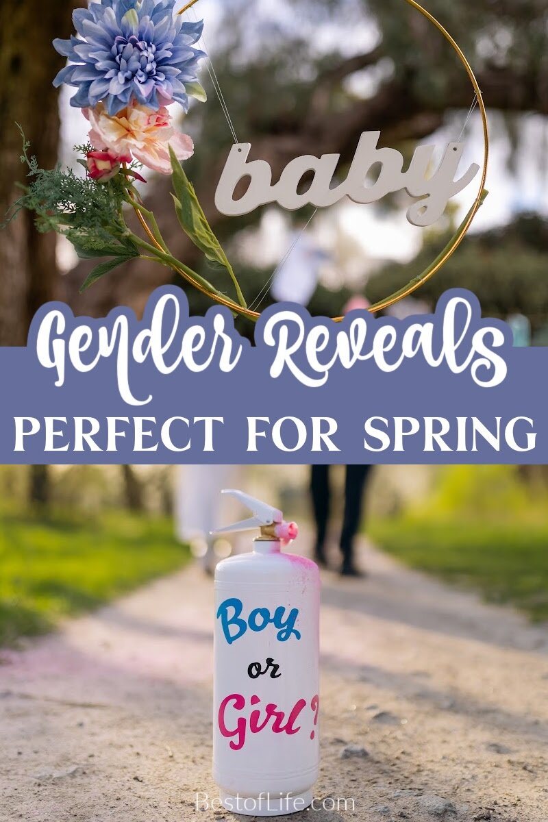 Cool gender reveal ideas for spring can help you announce the gender of your newborn to family and friends safely. Gender Reveal Party Ideas | Food for Gender Reveals | Games for Gender Reveals | Ways to Reveal the Gender | Tips for New Parents | Newborn Party Ideas | Gender Reveal Party Tips | Gender Reveal for Girls | Gender Reveal for Boys | Spring Party Ideas | Spring Baby Shower Ideas via @thebestoflife