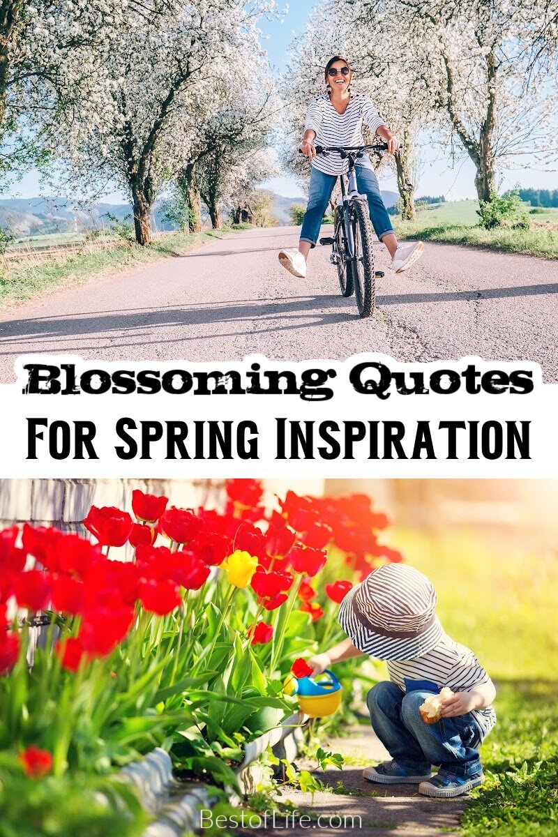 There are some beautiful spring quotes we can use to inspire us to take in more natural beauty as everything blooms around us. Spring Quotes | Quotes About Spring | Inspiring Quotes About Spring | Motivating Quotes About Spring | Quotes to Share | Sayings About Spring | Spring Sayings via @thebestoflife