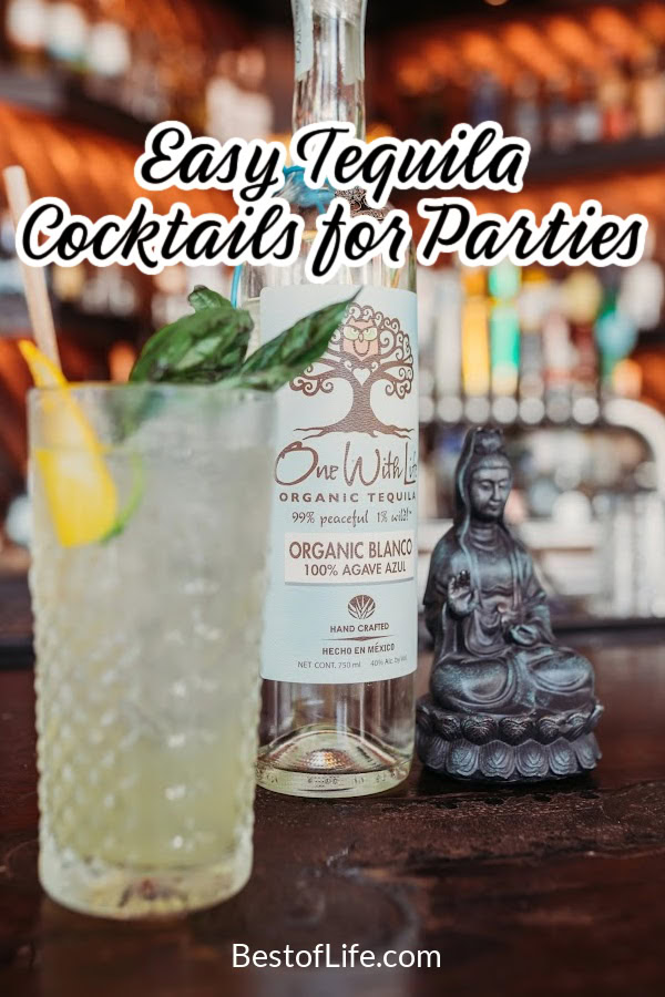 There is more to tequila than a margarita! Tequila cocktails are perfect for happy hour gatherings, parties, or to enjoy with chips and salsa! via @thebestoflife