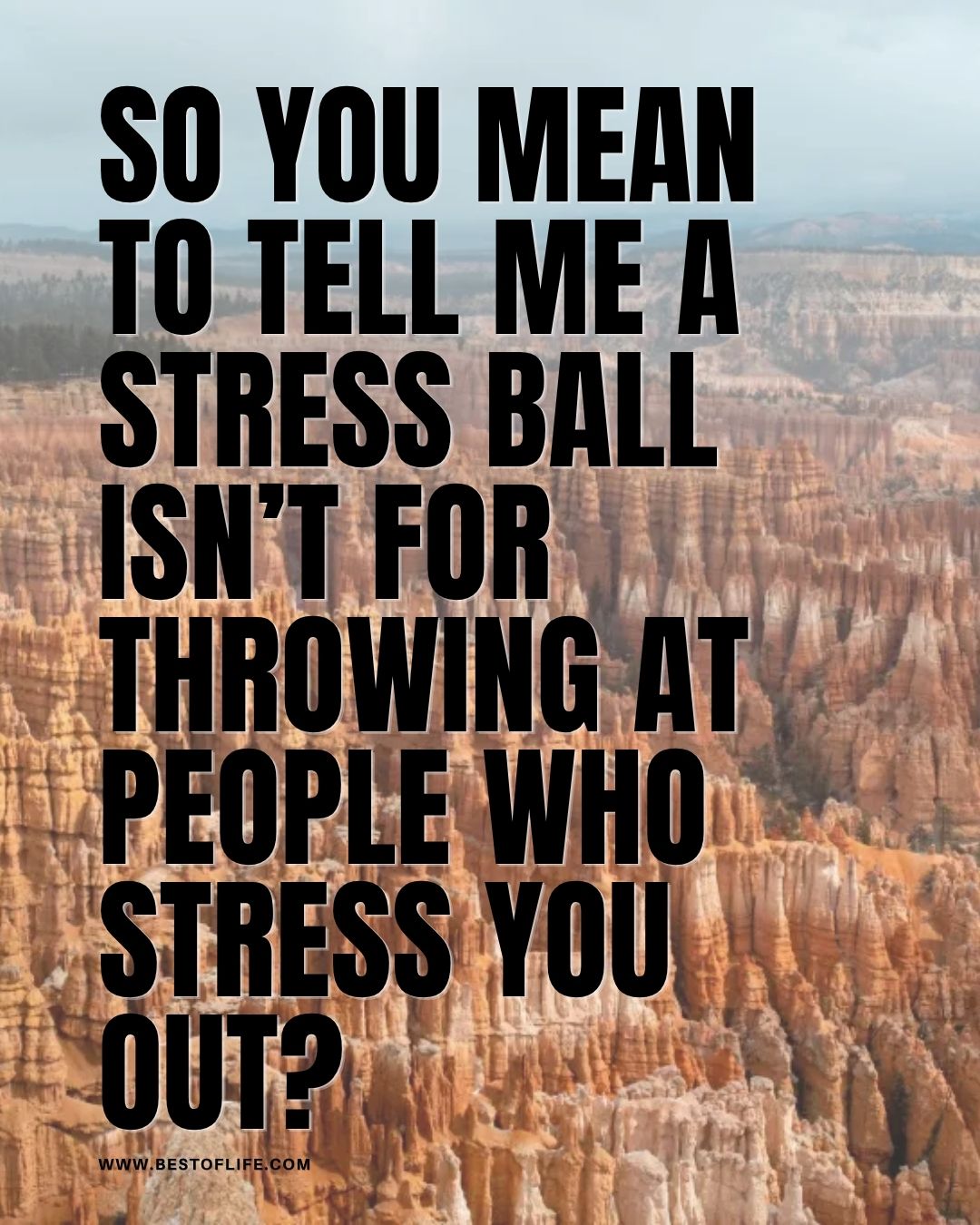 Smartass Quotes So you mean to tell me a stress ball isn&rsquo;t for throwing at people who stress you out?