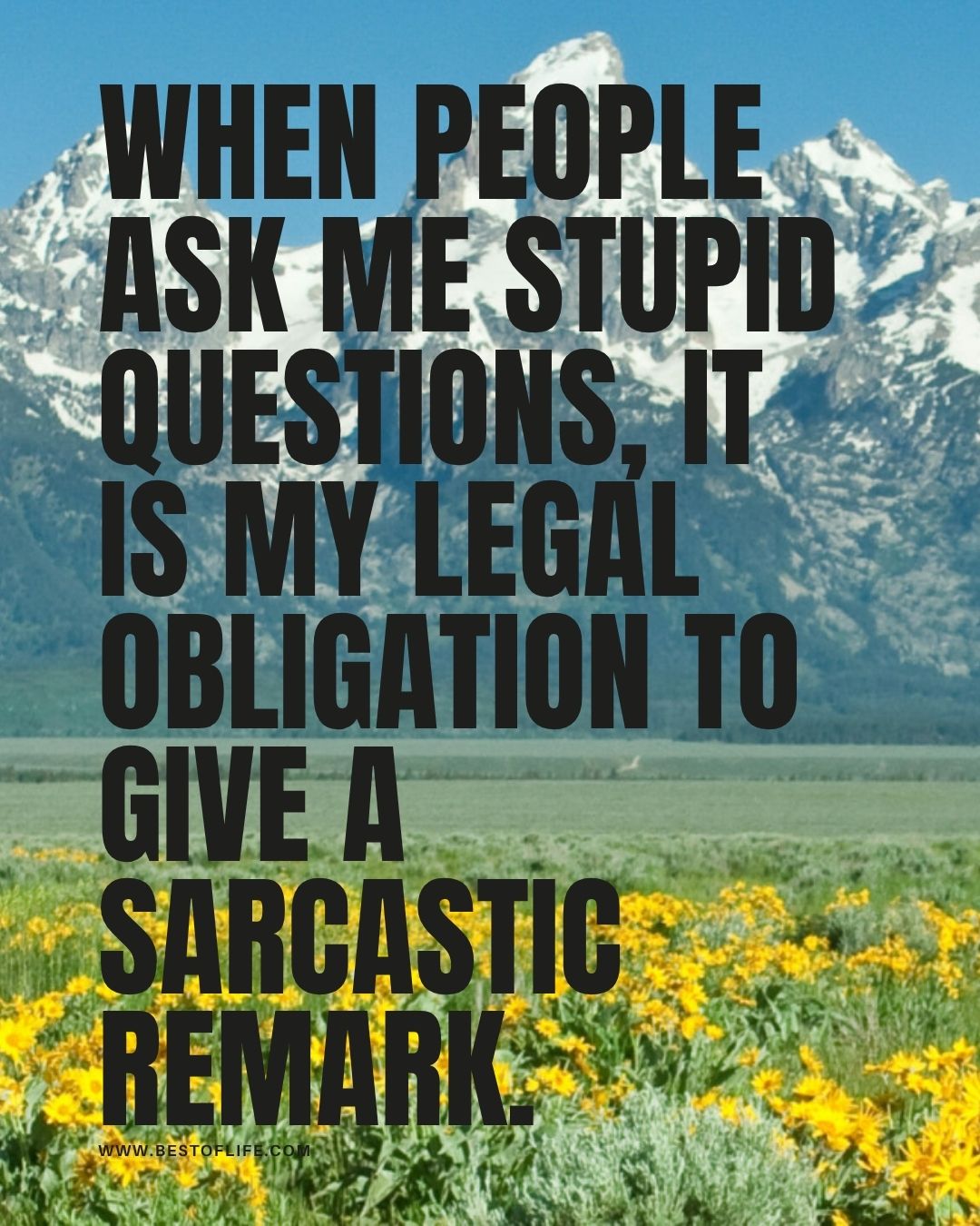 Smartass Quotes When people ask me stupid questions, it is my legal obligation to give a sarcastic remark.