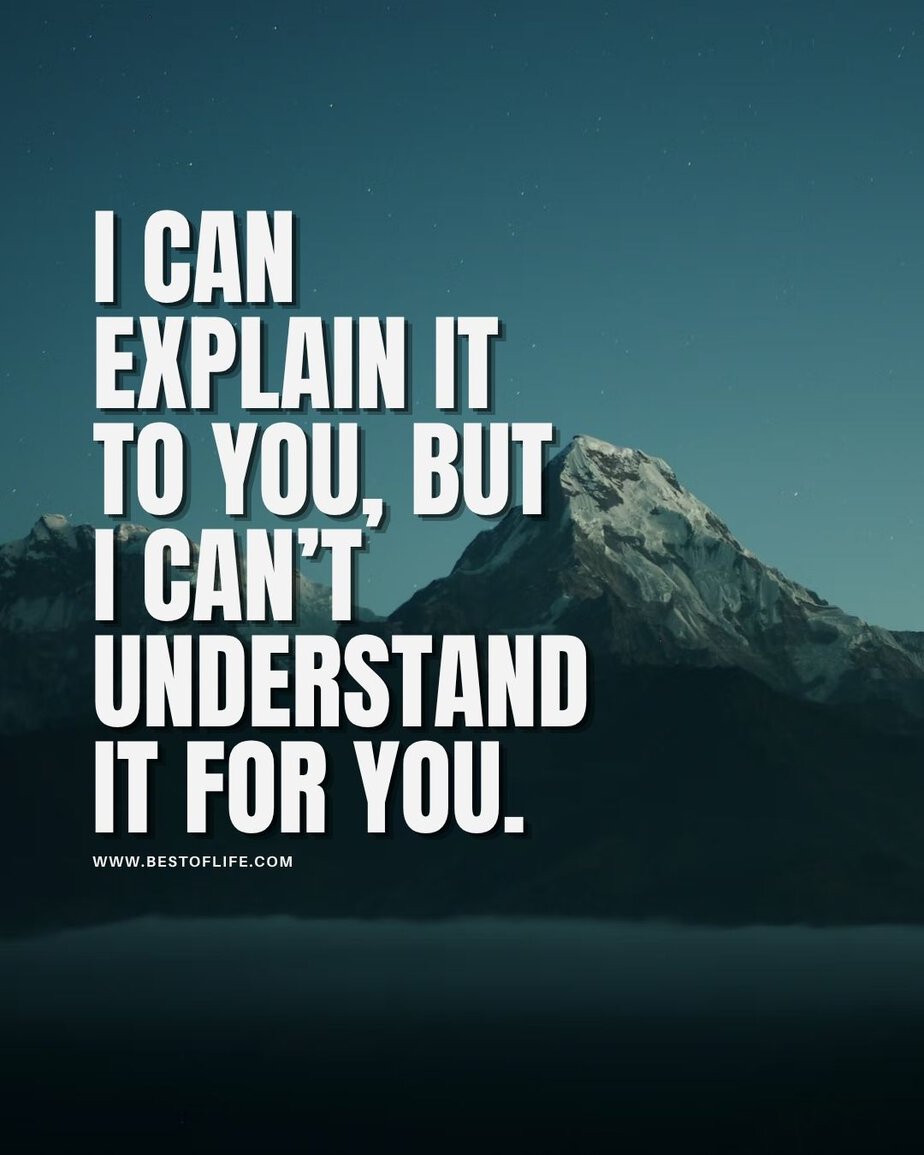Smartass Quotes I can explain it to you, but I can&rsquo;t understand it for you.