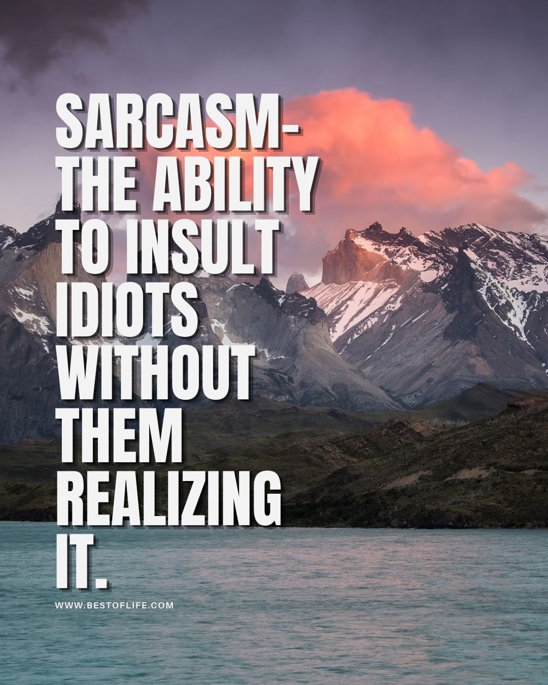 Smartass Quotes Sarcasm- the ability to insult idiots without them realizing it.