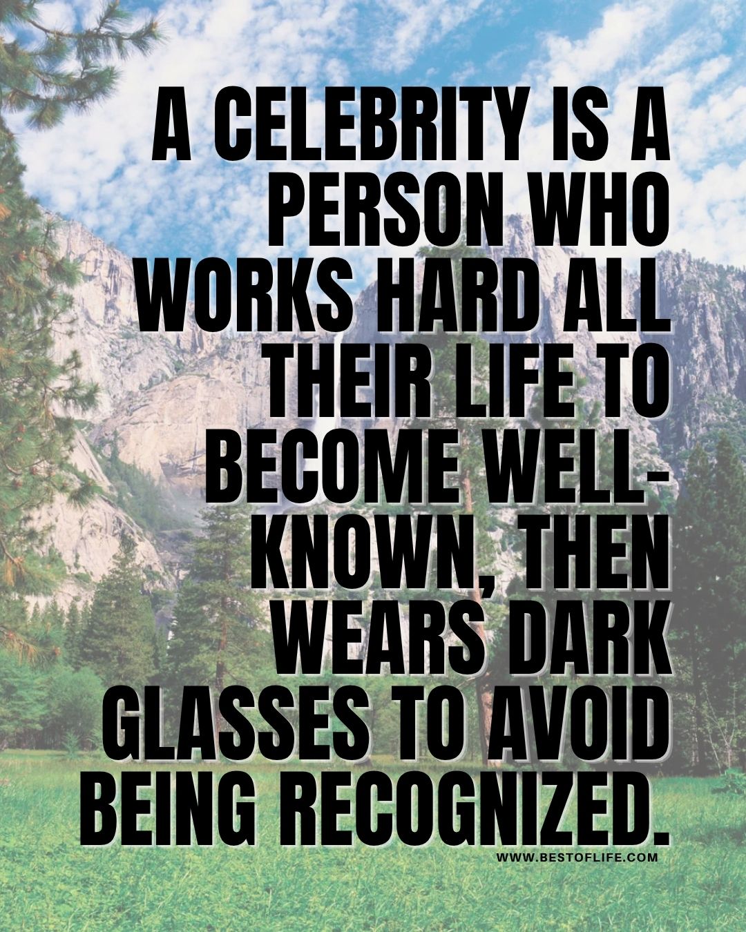 Smartass Quotes A celebrity is a person who works hard all their life to become well-known, then wears dark glasses to avoid being recognized.