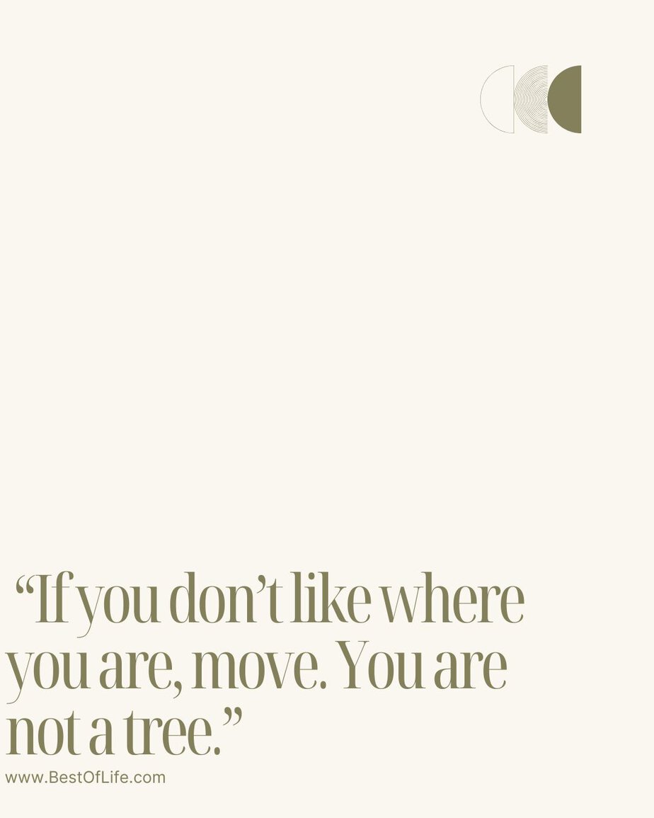 Best Quotes About Change for the Better “If you don’t like where you are, move. You are not a tree.”
