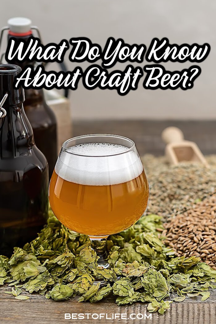 These are the best things to know about the craft beer industry. There's something for everyone from beginners to tried and true craft beer pros! via @thebestoflife