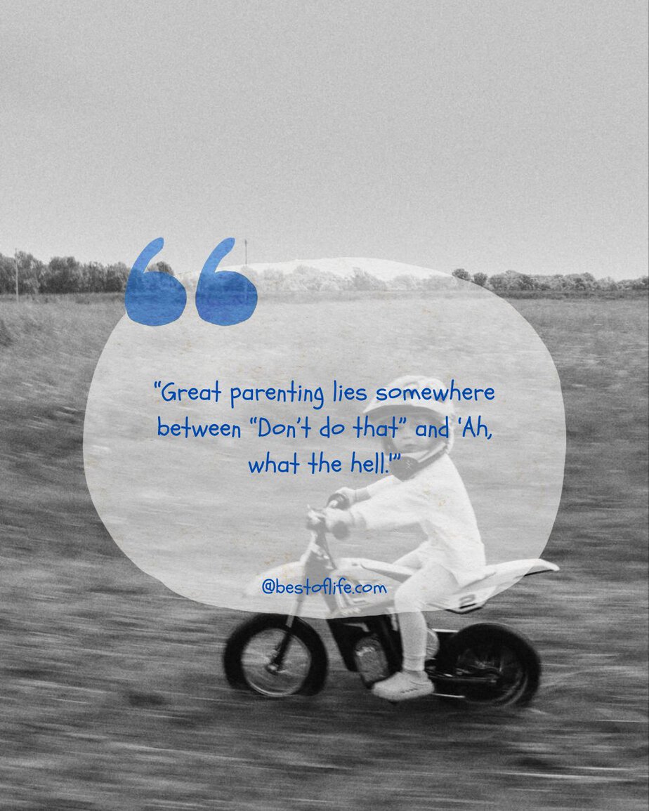 Funny Parenting Quotes "Great parenting lies somewhere between 'Don't do that' and 'Ah, what the hell.'"
