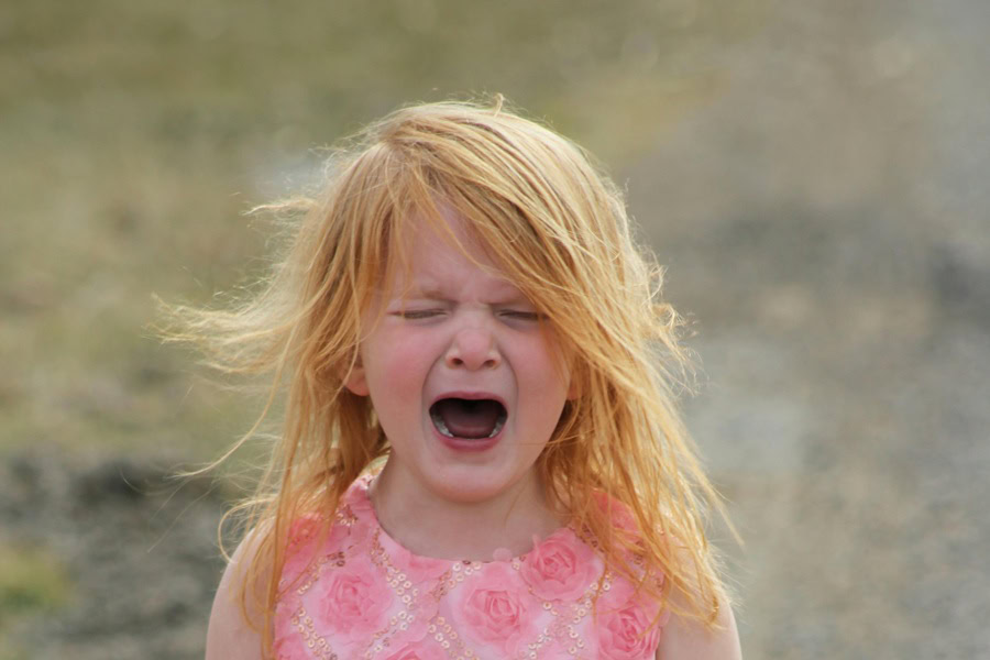 Funny Parenting Quotes a Little Girl Wearing a Pink Dress Standing in the Middle of a Path Crying Loudly
