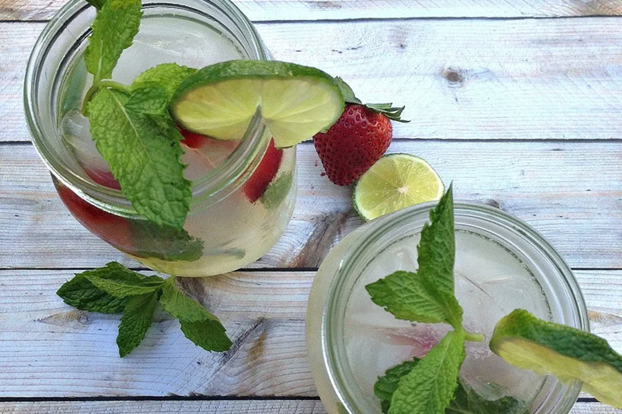 Backyard BBQ Drinks for an Outdoor Party Vodka Mint Lemonade Cocktail in Two Glasses with Sprigs of Mint and Cucumber Slices