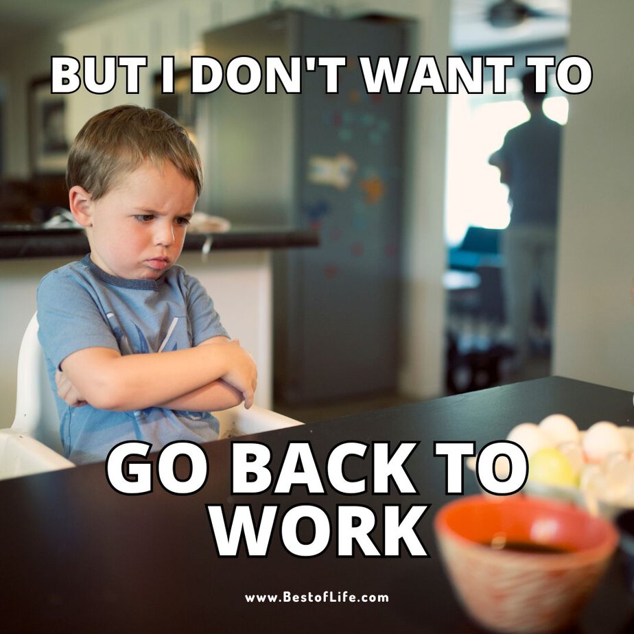 Funny Labor Day Weekend Memes But I don’t want to go back to work.