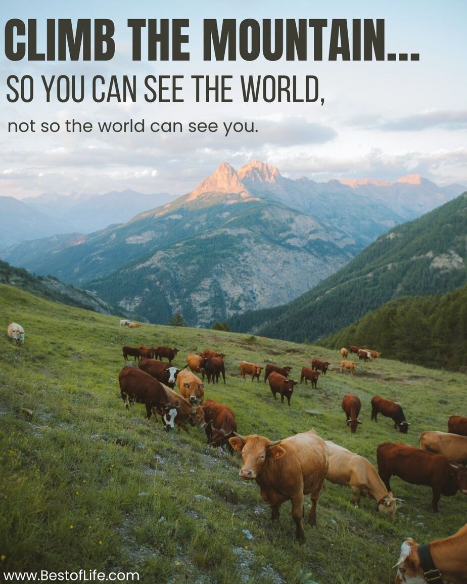 Quotes About Mountains to Inspire Risk Taking Climb the mountain...so you can see the world, not so the world can see you.