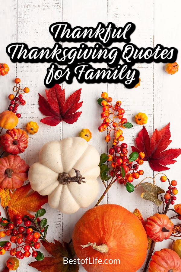 Thankful quotes for Thanksgiving pair nicely with turkey and can help you express your attitude of gratitude to those you love.
