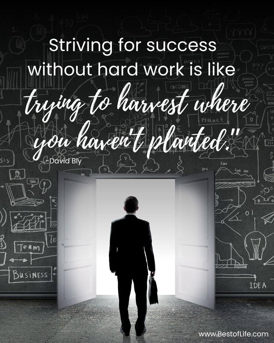 Powerful Quotes For Entrepreneurs "Striving for success without hard work is like trying to harvest where you haven't planted." -David Bly