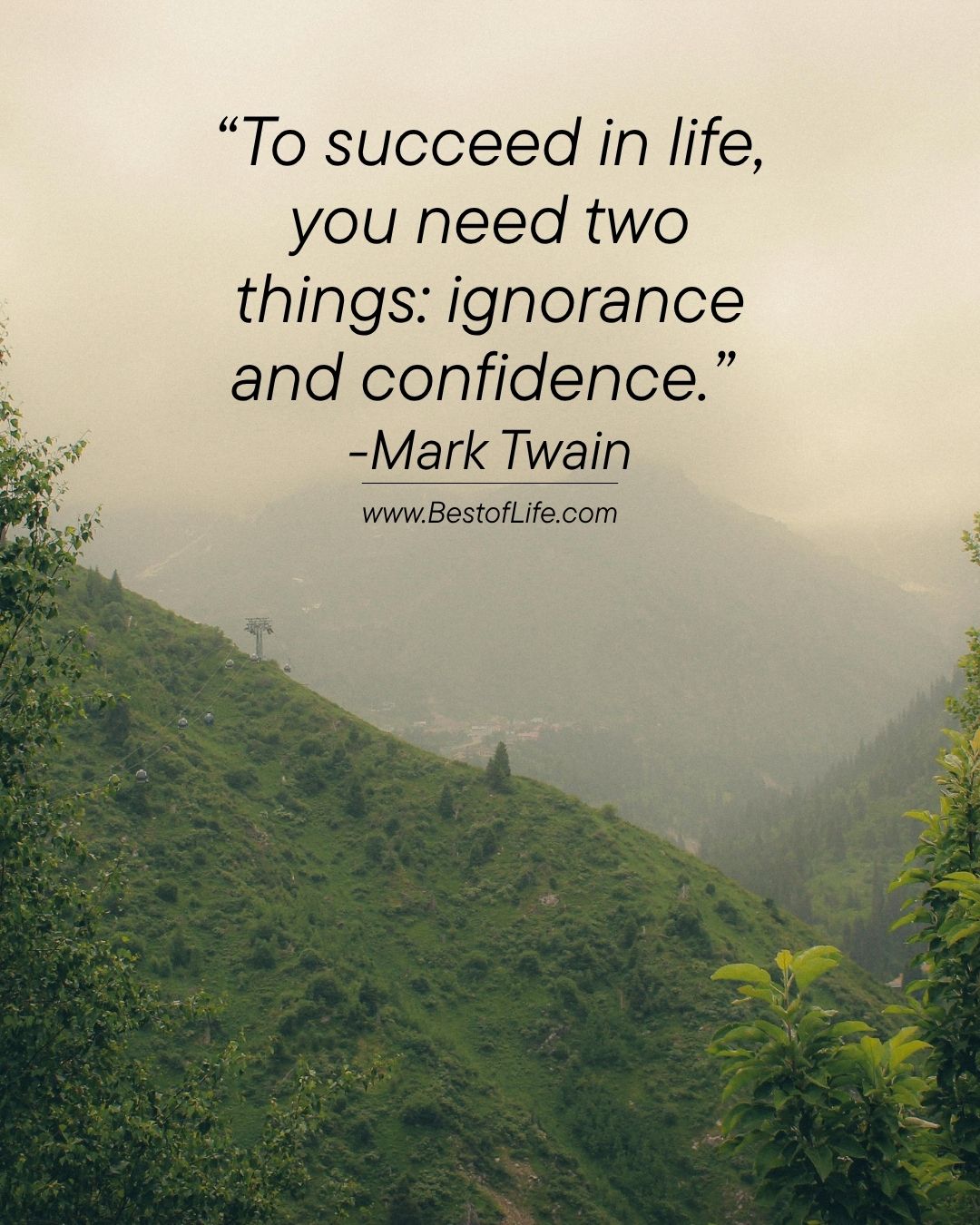 Powerful Quotes For Entrepreneurs "To succeed in life, you need two things: ignorance and confidence." -Mark Twain