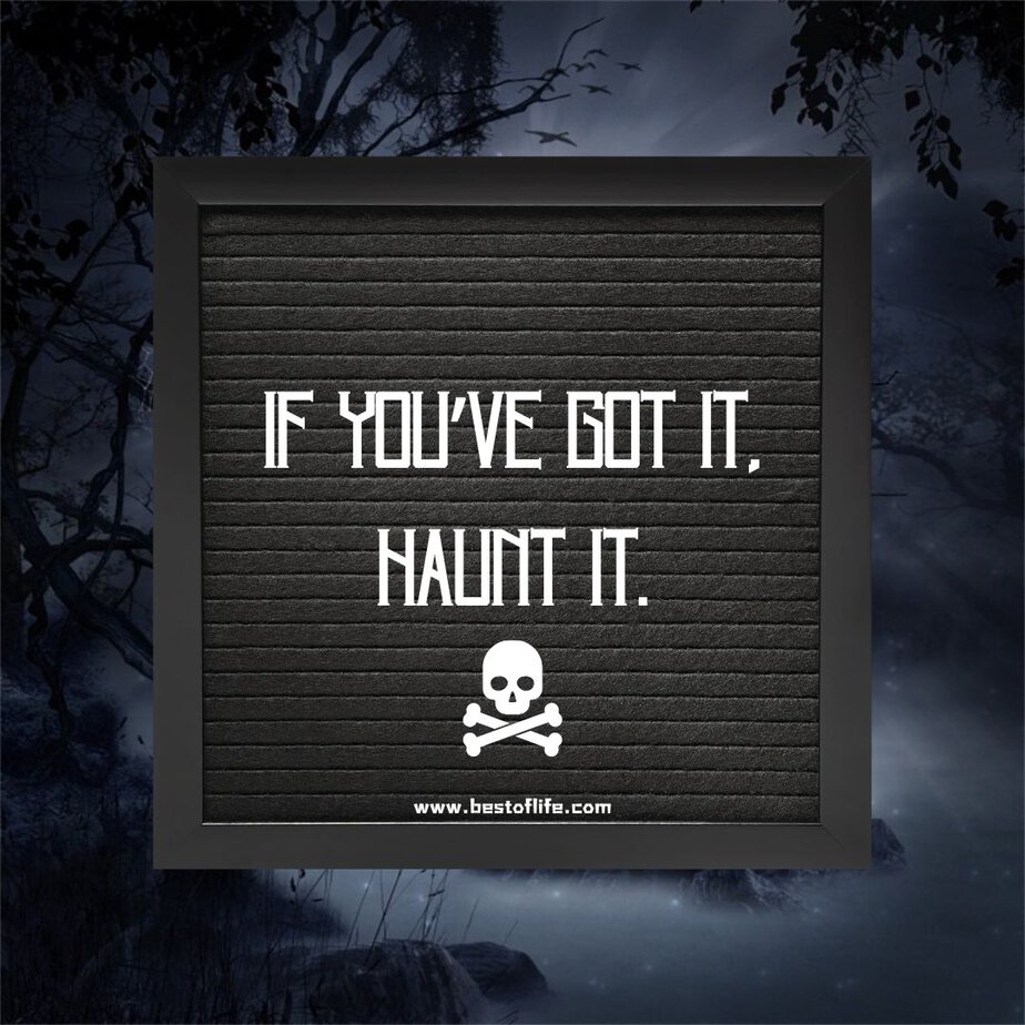 Halloween Letter Board Quotes If You've Got it, Haunt It