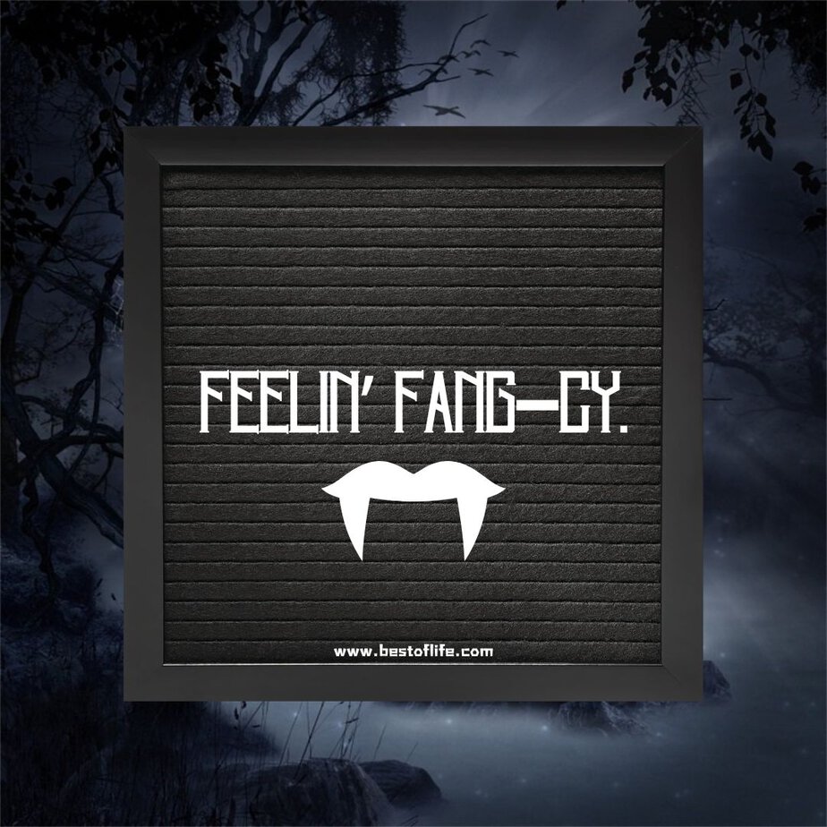 Halloween Letter Board Quotes Feelin' Fang-Cy