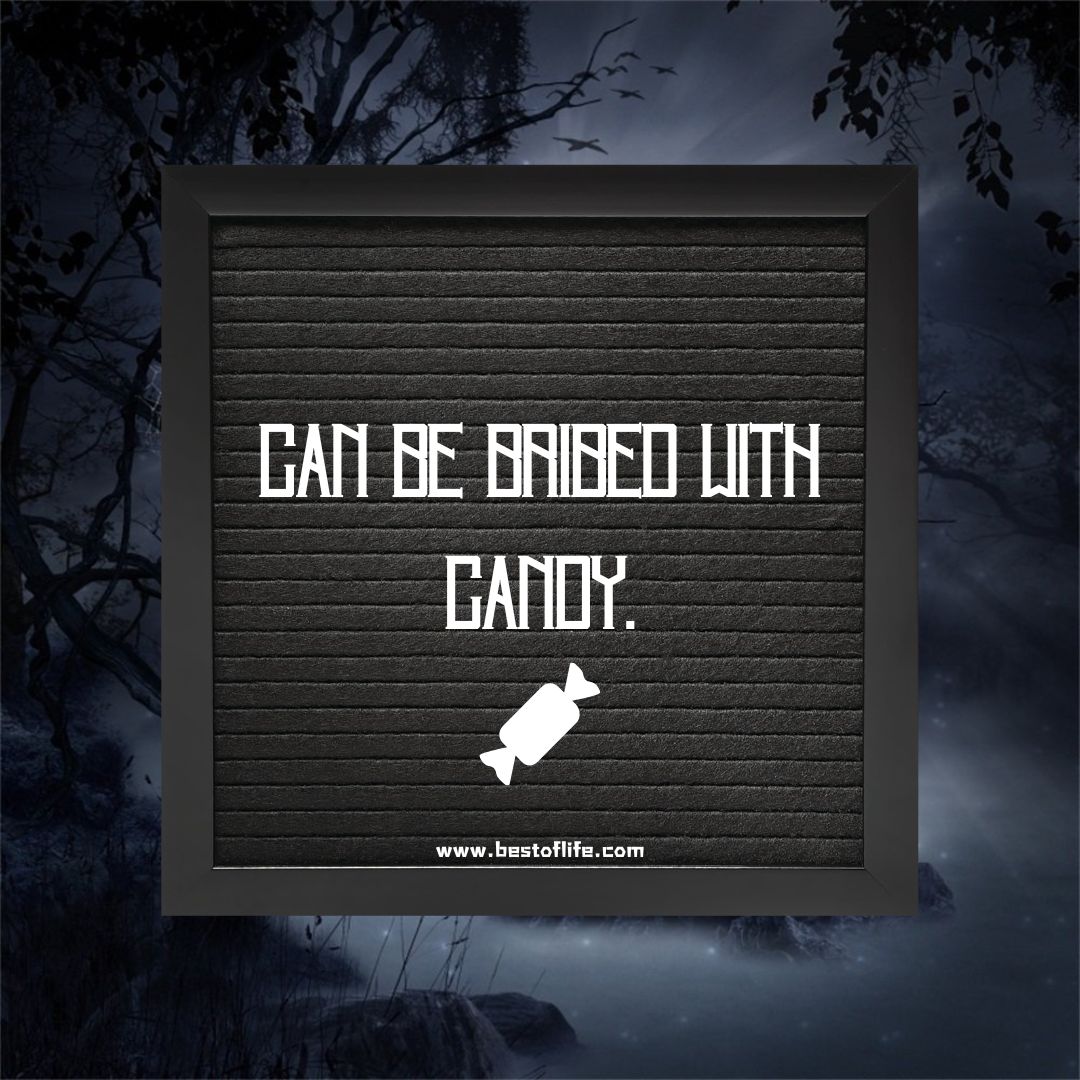 Halloween Letter Board Quotes Can Be Bribed with Candy